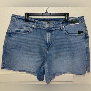 Wild Fable Light Blue Jean Shorts